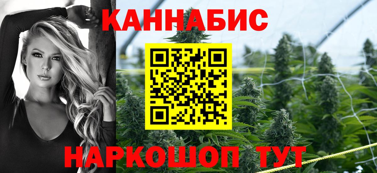Конопля гибрид  Канабис семена  Вход с VPN  Вязьма 